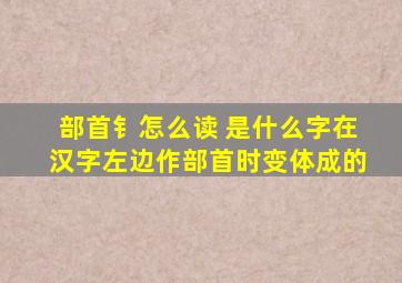 部首钅怎么读 是什么字在汉字左边作部首时变体成的